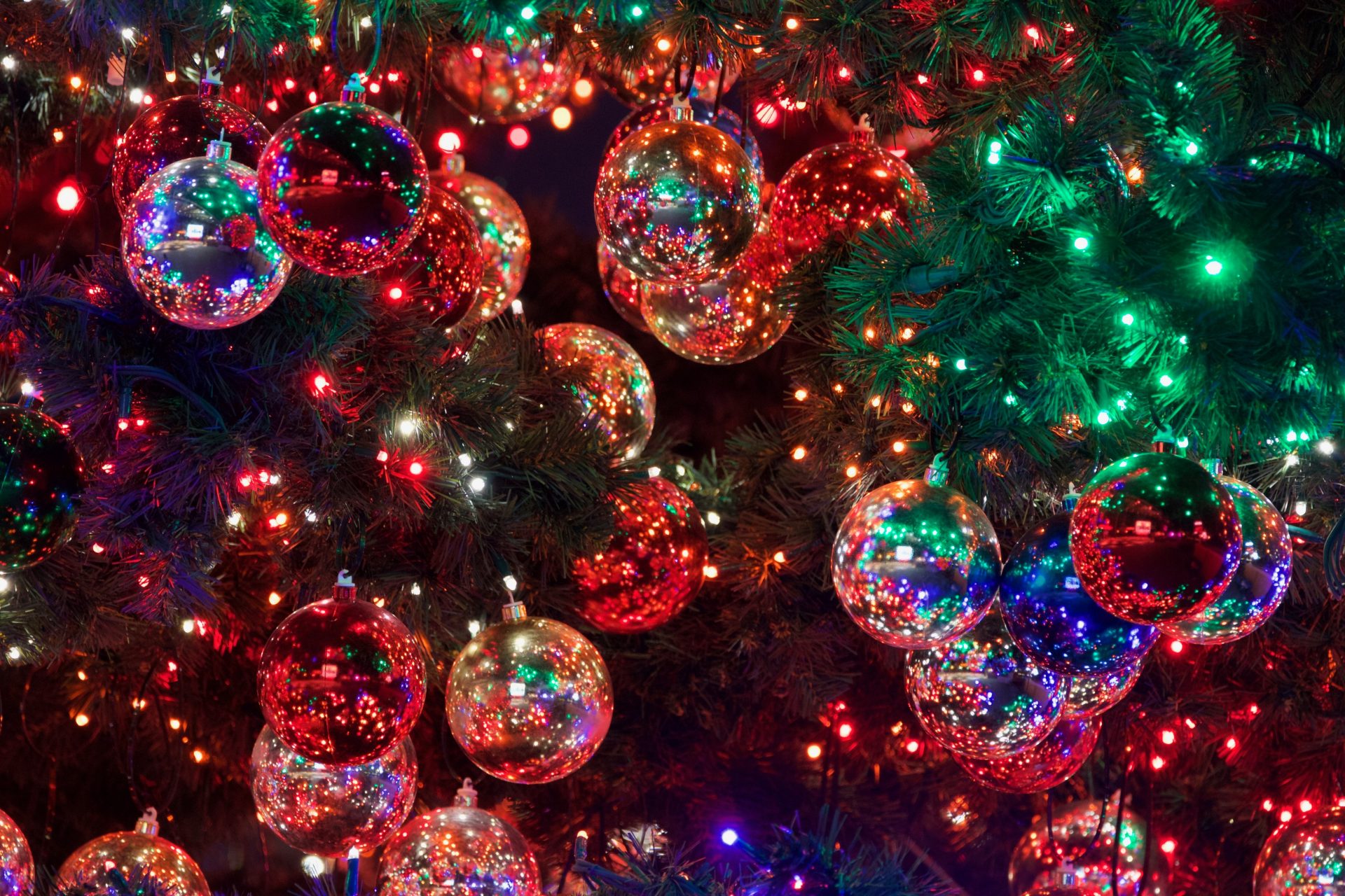 coloured christmas tree lights