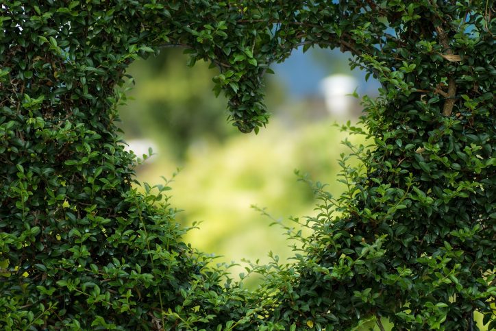 nature heart - Broadway Lodge Rehab Centre