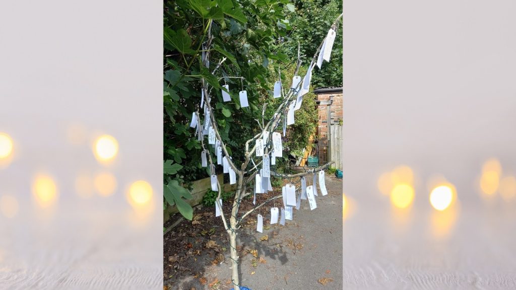 memorial tree blog picture - Broadway Lodge Rehab Centre