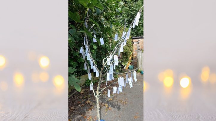 memorial tree blog picture - Broadway Lodge Rehab Centre