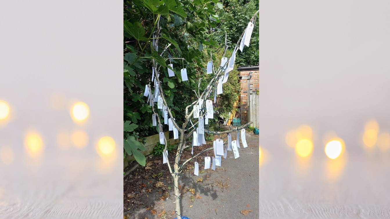 memorial tree blog picture - Broadway Lodge Rehab Centre