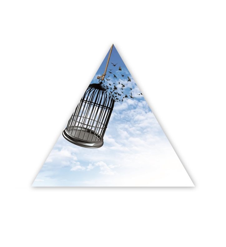 Vision Mission Triangle