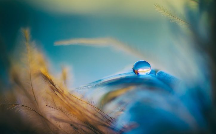 Water droplet balancing on a stem